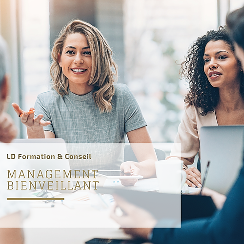 Représentation de la formation : Management bienveillant