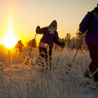 tourhub | Exodus Adventure Travels | Finnish Wilderness Week 