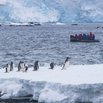 tourhub | Aurora Expeditions | Antarctic Explorer Express 