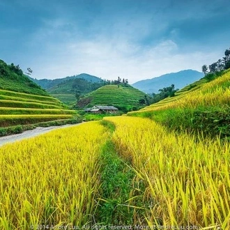 tourhub | Mr Linh's Adventures | HA GIANG PANORAMAS 4 DAYS 3 NIGHTS 