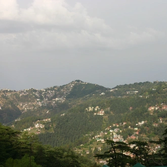 tourhub | Shimla Walks | 4 Day Walks in Shimla 