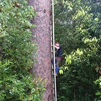 tourhub | Intrepid Travel | Borneo Expedition: Maliau Basin - Sabah's Lost World Trek 