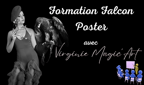 Représentation de la formation : Formation Falcon Poster