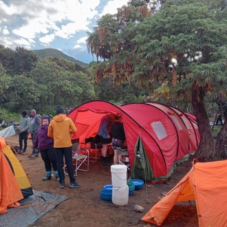 tourhub | Explore Active | Mount Kilimanjaro: 6-Day Machame Route Trek, 8-Day Adventure 