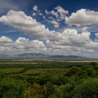 tourhub | Akondo Adventures | 3 Days Tarangire, Lake Manyara and Ngorongoro Safari 