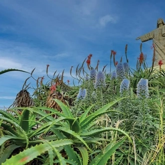 tourhub | Travel Editions | Gardens of Madeira Tour 