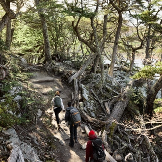 tourhub | Intrepid Travel | Classic Hikes of Patagonia 