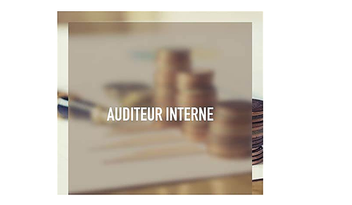 Représentation de la formation : MÉTIERS - AUDITEUR INTERNE 