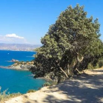 tourhub | Walkers' Britain | Winter Walking in Cyprus 