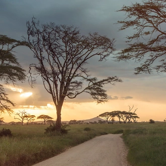 tourhub | G Adventures | Kenya and Tanzania Overland Safari 