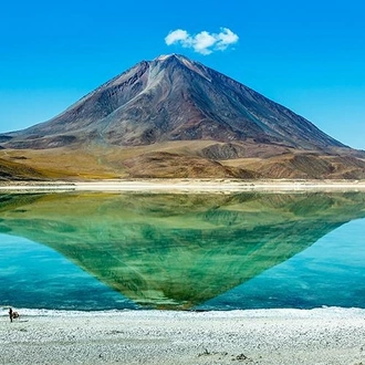 tourhub | Bamba Travel | Uyuni Salt Flats & Desert Adventure 5D/4N (La Paz to La Paz) 