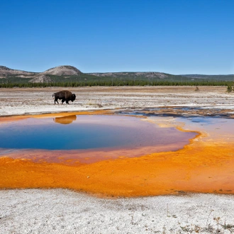 tourhub | Exodus Adventure Travels | Yellowstone Walks & Wildlife - Camping Edition 