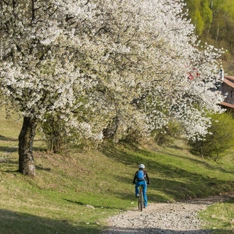 tourhub | Explore! | Cycle Romania 