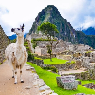 tourhub | Valencia Travel Cusco | Short Inca Trail to Machu Picchu - 2 Days 