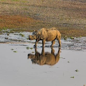 tourhub | Liberty Holidays | Pleasing Pokhara City with captivating Chitwan Jungle Tour from Kathmandu  