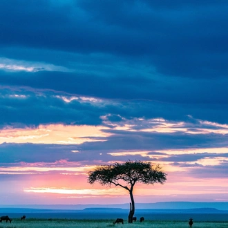 tourhub | Exodus Safaris | 9 Days Budget Kenya Safari – Masai Mara, Naivasha, Amboseli & Tsavo 