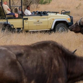 tourhub | On The Go Tours | Safari in South Africa - 8 days 