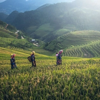 tourhub | Tweet World Travel | Northern Vietnam In-depth Tour 