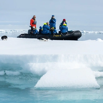 tourhub | Intrepid Travel | Best of Antarctica: Whale Journey (Ocean Endeavour)  