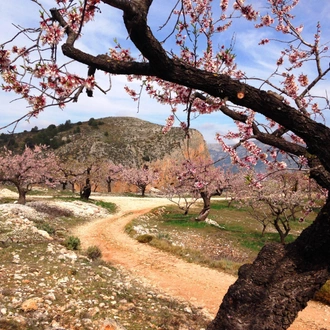 tourhub | Exodus Adventure Travels | Sierra de Aitana Trek 