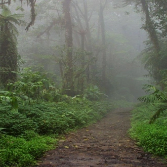 tourhub | Today Voyages | Costa Rica Natural Paradise 