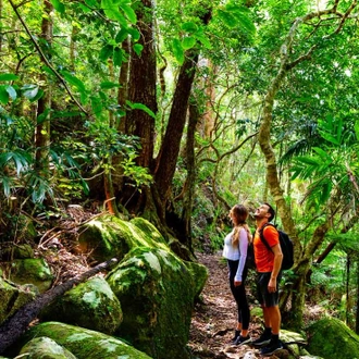 tourhub | Intrepid Travel | Walk Queensland's Scenic Rim 