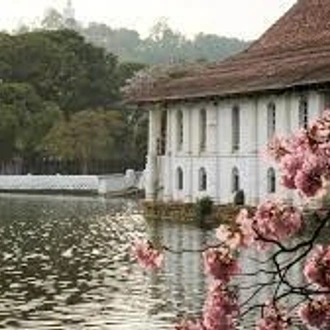 tourhub | Bravo Indochina Tours | Cultural Sri Lanka 8 Days Tour 