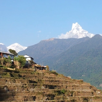 tourhub | Liberty Holidays | Annapurna Circuit Trail (Best trekking experience in the world) 