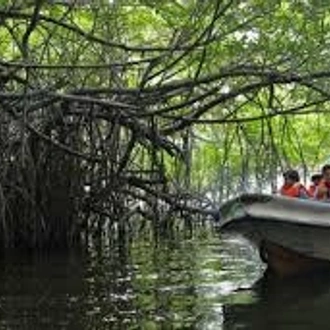 tourhub | Ceylon Travel Dream | Boat Safaries and Beach Tour from Galle 