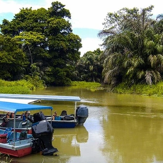 tourhub | Bamba Travel | Tortuguero National Park Adventure 2D/1N 