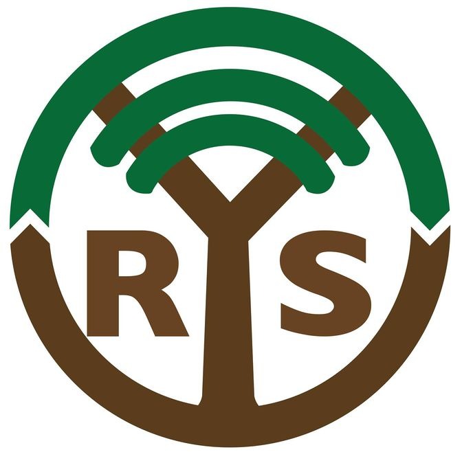 RYS Global logo
