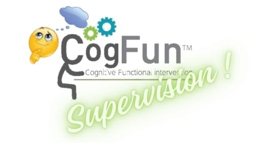 Représentation de la formation : Supervision Cog-fun