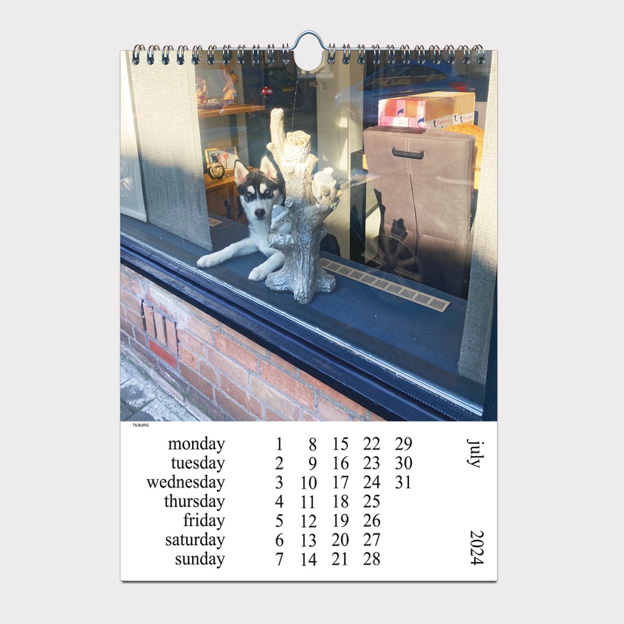 Cats and Dogs in the Window CALENDAR 2024 thumbnail 7