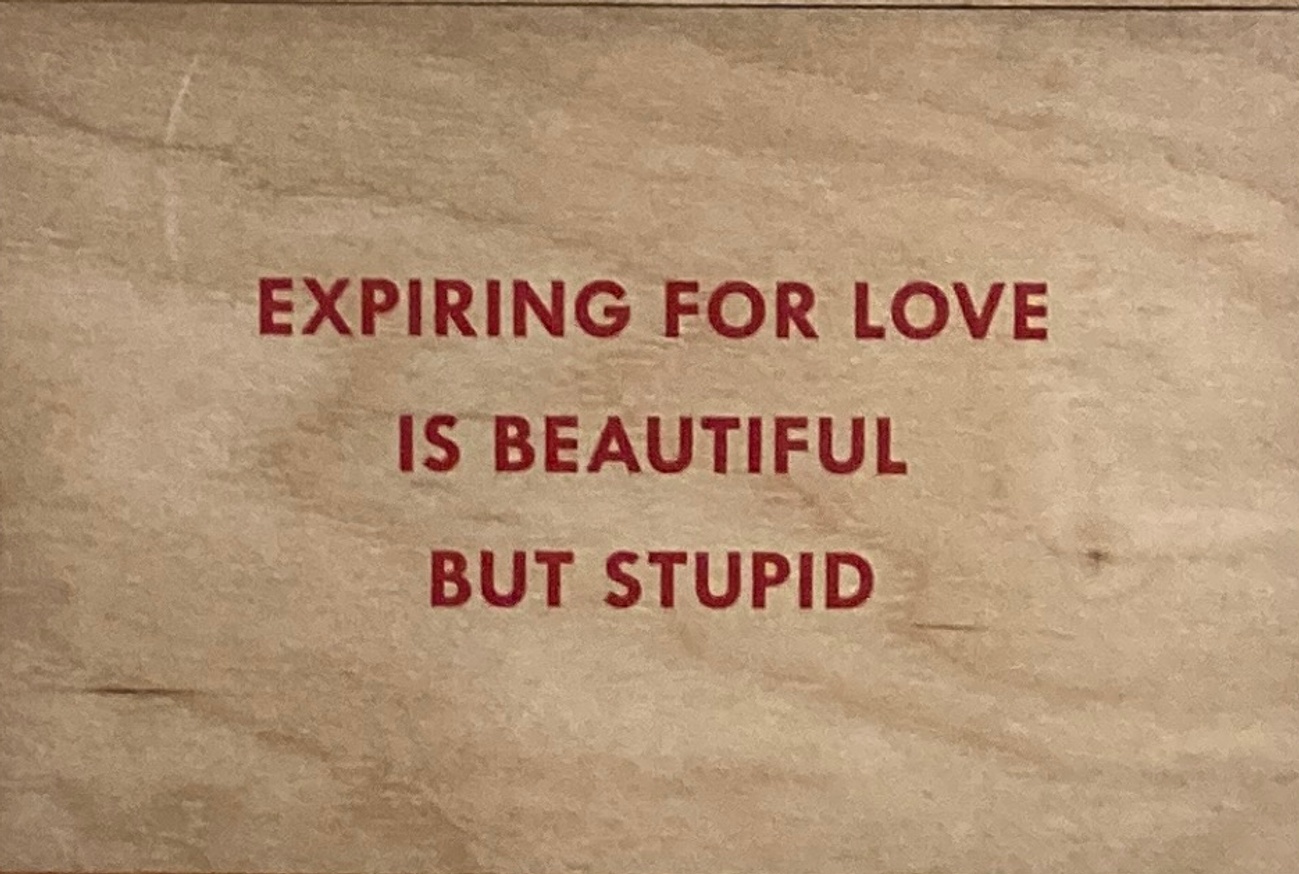 Expiring for Love is Beautiful But Stupid Wooden Postcard [Red Text]