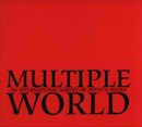 Multiple World : An International Survey of Artists' Books