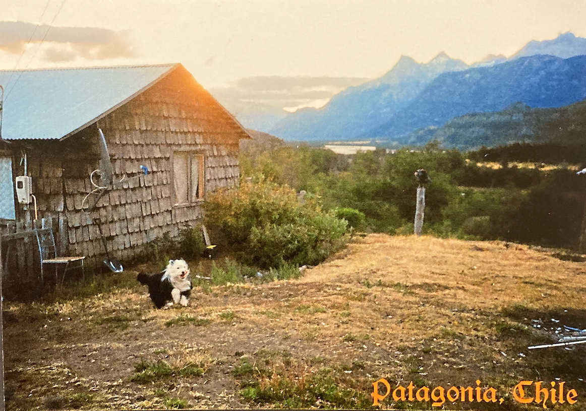 Patagonia, Chile Postcard