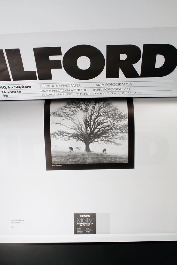 Complete Ilford Works thumbnail 4