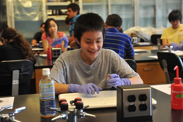 Columbia Summer Program: Science, Engineering, and Mathematics