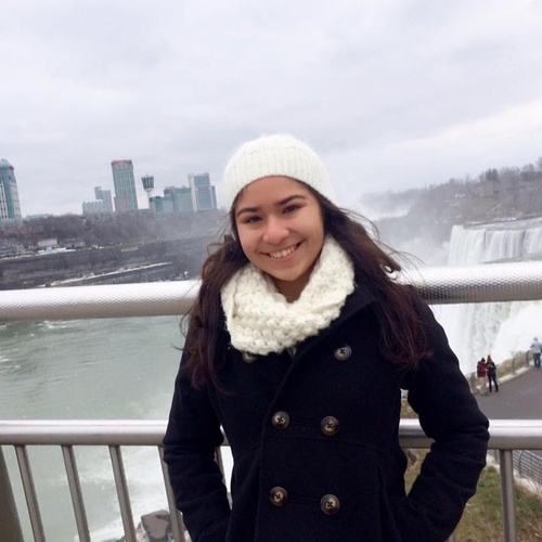 For winter break, my family and I took a trip to Canada. This picture was taken at Niagara Falls.