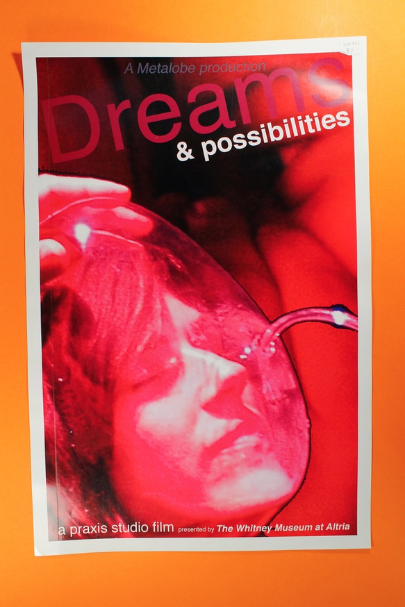 Dreams and Possibilities thumbnail 2