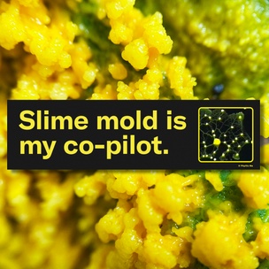 Slime Mold Sticker