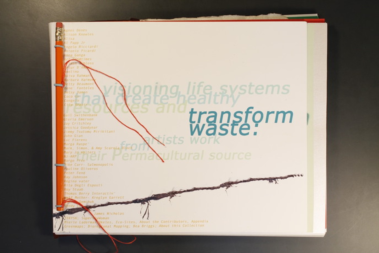 Visioning Life Systems That Create Healthy Resources and Transform Waste