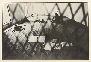 Joseph Beuys ("Coyote") Postcard