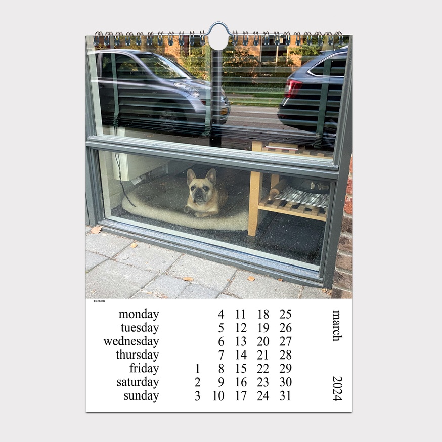 Cats and Dogs in the Window CALENDAR 2024 thumbnail 5