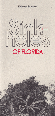 Sinkholes of Florida