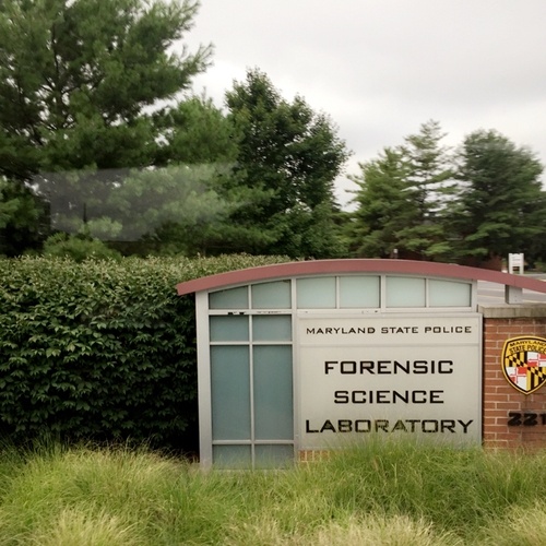 We visited a lab where samples from a crime scene are tested!