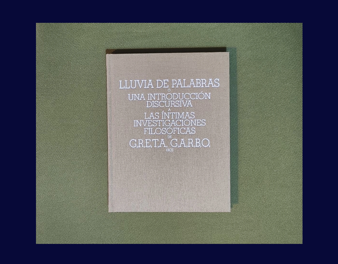 LLUVIA DE PALABRAS thumbnail 4