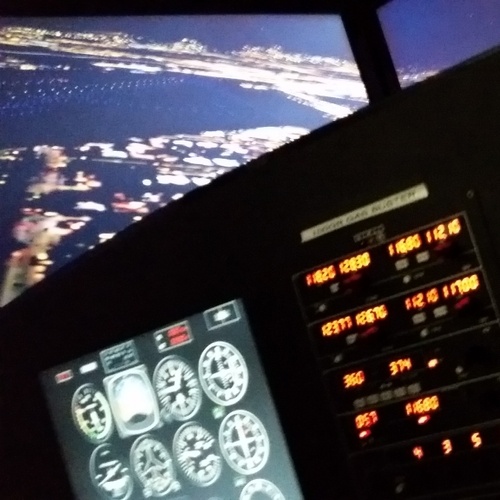 In the simulator doing a night landing