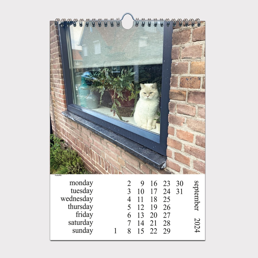 Cats and Dogs in the Window CALENDAR 2024 thumbnail 9