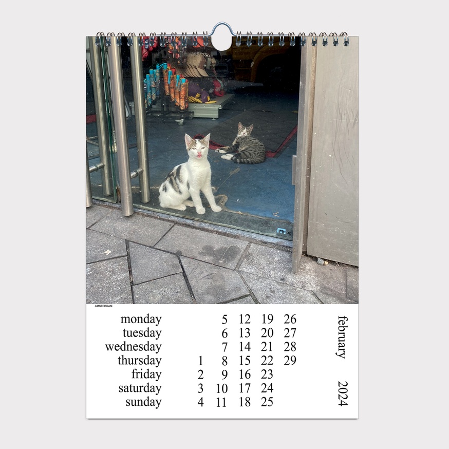 Cats and Dogs in the Window CALENDAR 2024 thumbnail 4